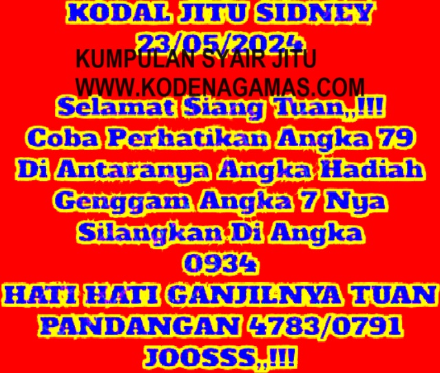 SYAIR SDY VIP